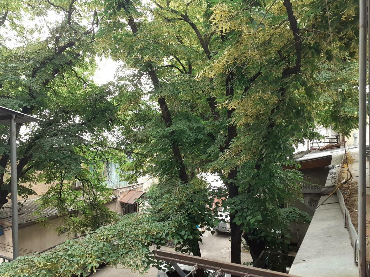 Woodmood Hostel Tbilisi Zewnętrze zdjęcie